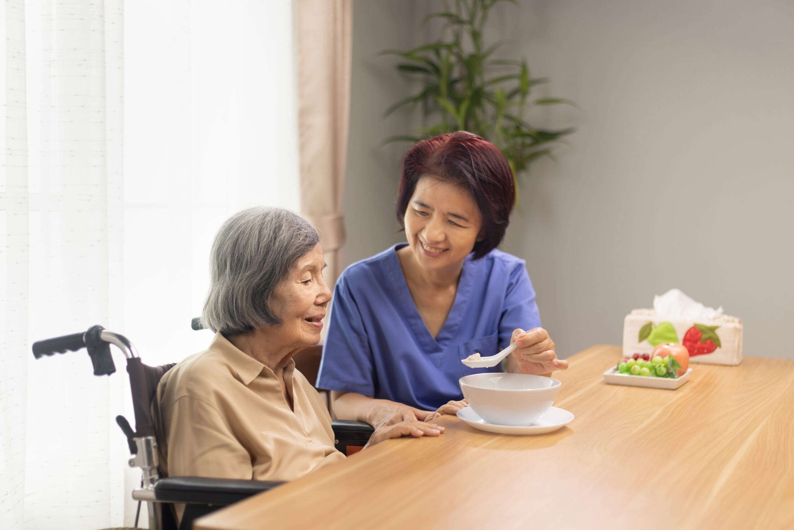 A carer feeds an older woman in a wheelchair porridge
